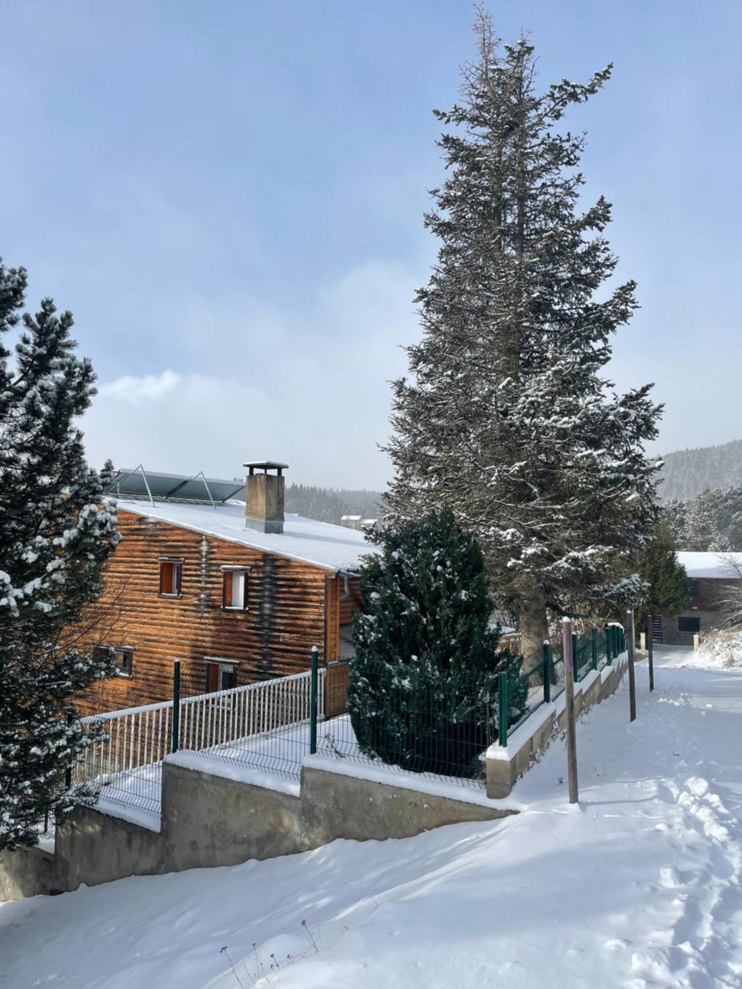 Chalet Isard Pyrenees 2000 - 300M Des Pistes Bolquere Pyrenees 2000 Екстериор снимка